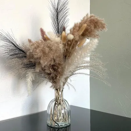 Appartement Lumineux Avec Balcon Caen